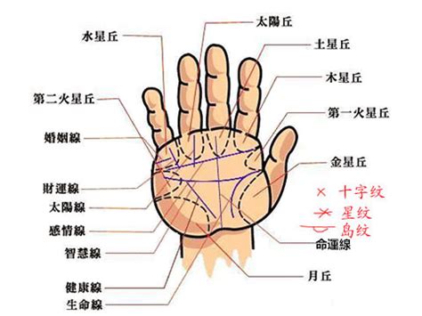 食指下方橫紋|手掌紋路圖解大全